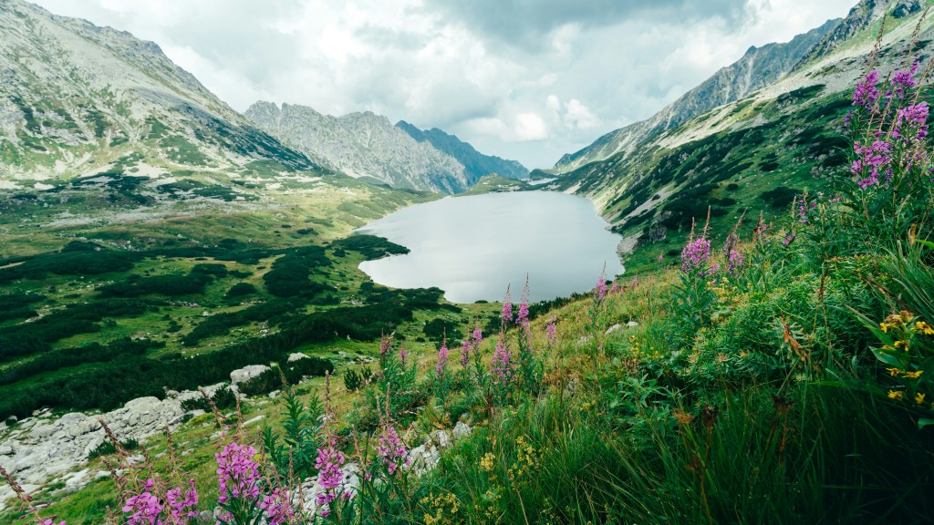 Grace and Comfort of&nbsp;God