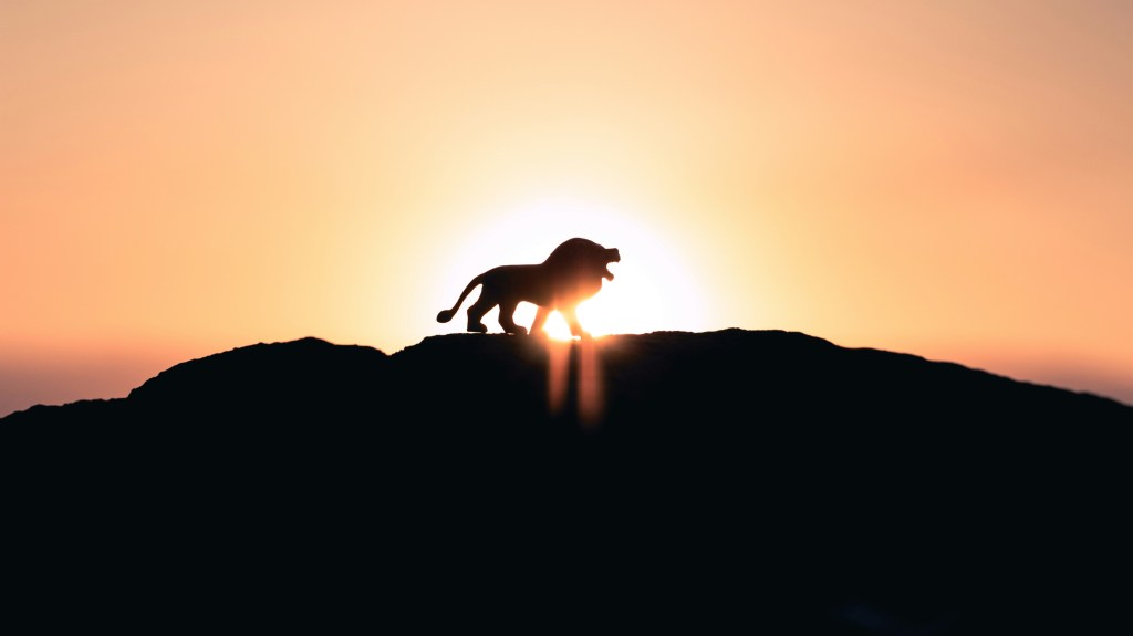 Trusting What He Didn’t&nbsp;Do