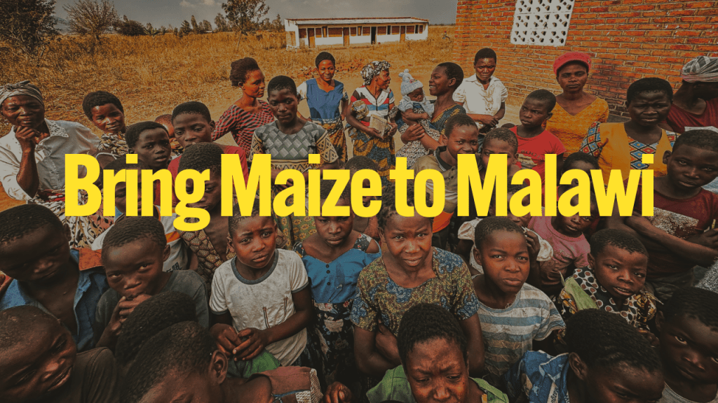 Bring Maize to&nbsp;Malawi