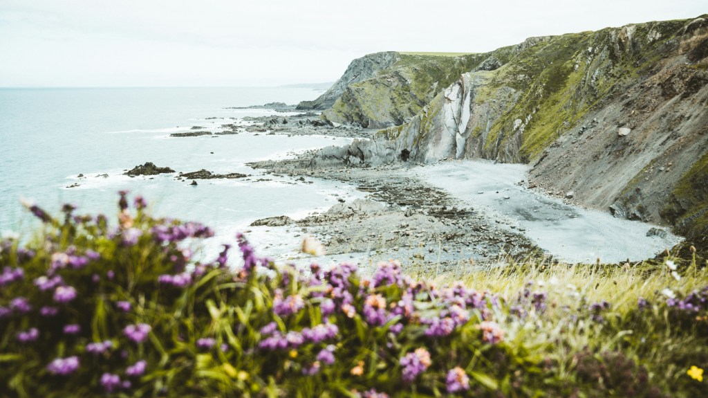 Blooming Past the&nbsp;Exit