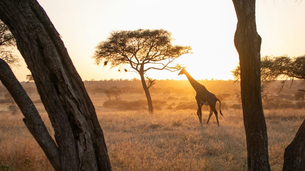 Seeking God’s Will in a World Full of&nbsp;Questions