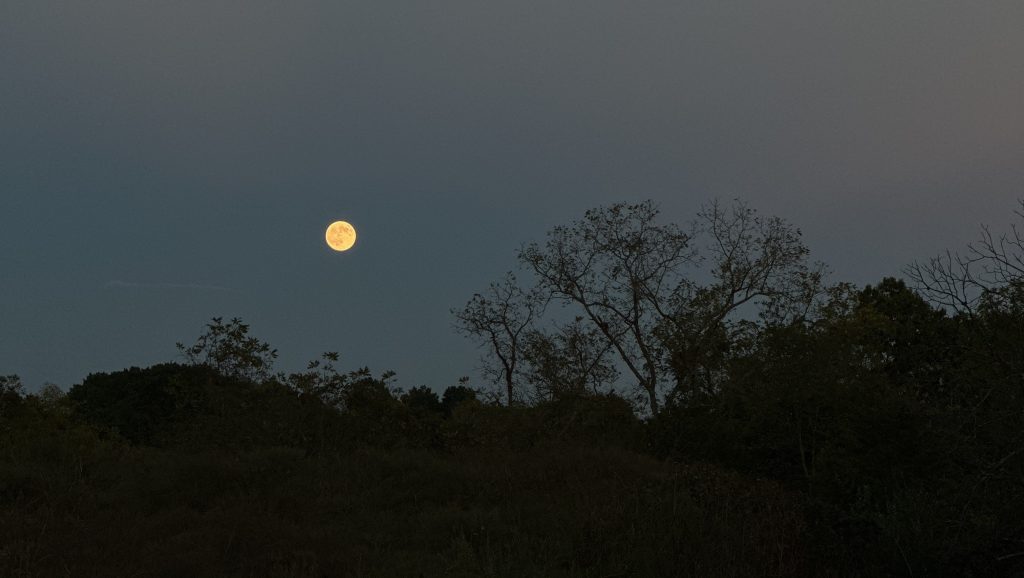 Health Update: Learning to Trust&nbsp;Again