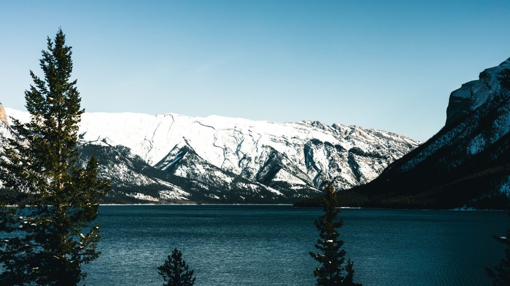 Trusting God With What’s&nbsp;Next